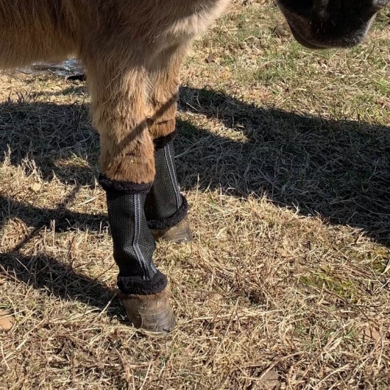 FLY BYE WRAP - NATURAL FLY REPELLENT FOR MINIATURE HORSES & DONKEYS